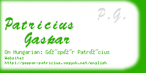 patricius gaspar business card
